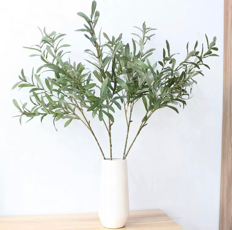Olive Tree Branch Bunch