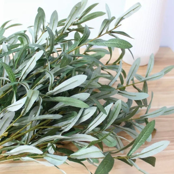 Olive Tree Branch Bunch