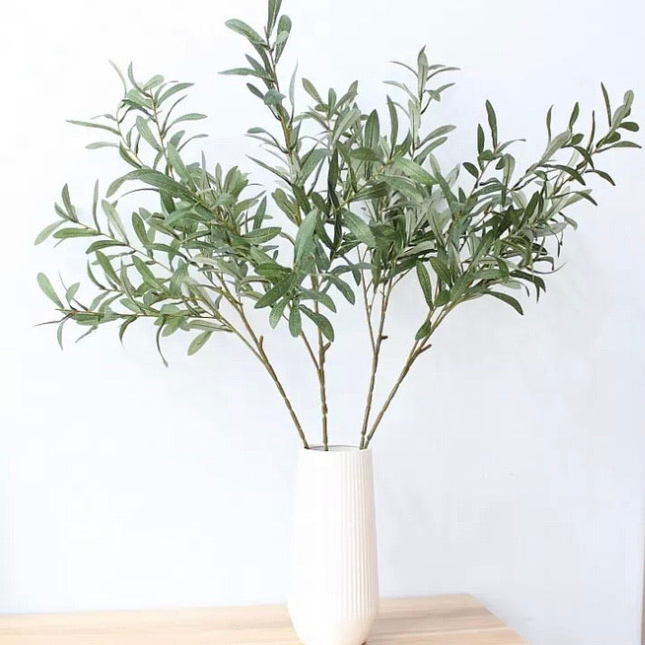 Olive Tree Branch Bunch